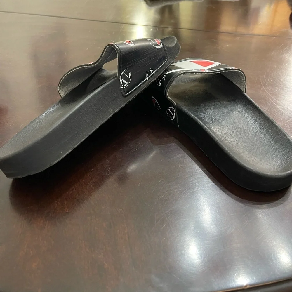 Champion slides size